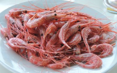 🦐 Camarones al estilo tinerfeño: frescura, sabor y tradición